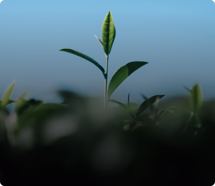 improved talent retention for companies
